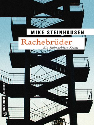 cover image of Rachebrüder